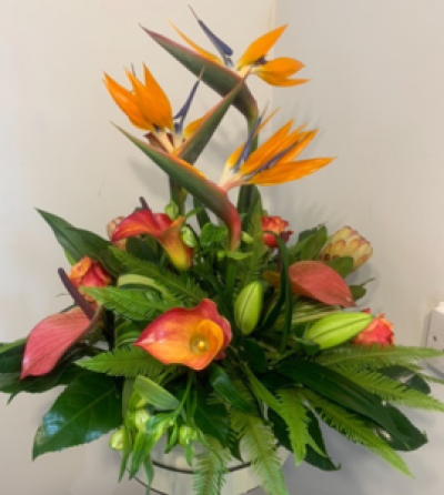 Miss divine - Bird of paradise, anthuriums, roses, lilies, tropical foliage