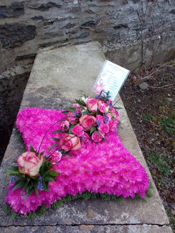 Cerise Cushion