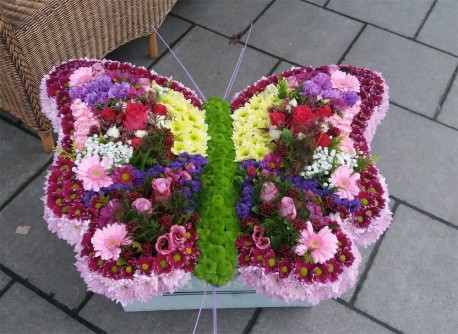 Butterfly Tribute