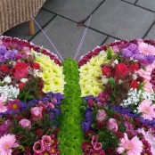 Butterfly Tribute
